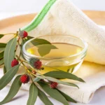 eucalyptus tea benefits with fresh leaves and herbal infusion