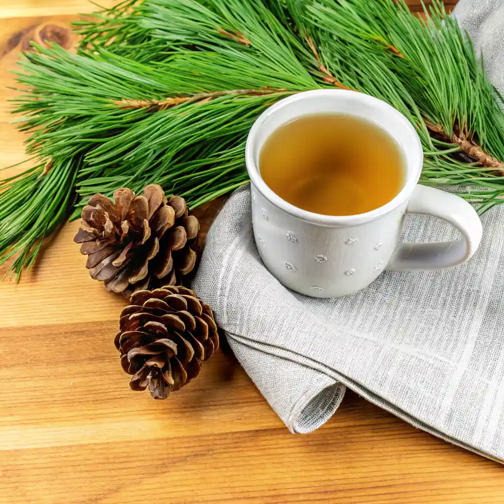 What to Know About Pine Needle Tea (Health, Uses & Recipe) 5 Rustic white mug of pine needle tea on a folded linen towel, with pinecones and pine needles on a wooden